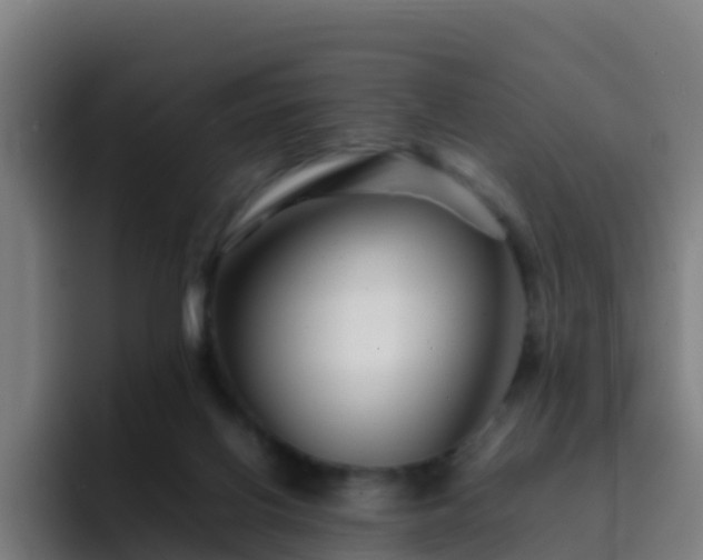 X0000094930070200712061137