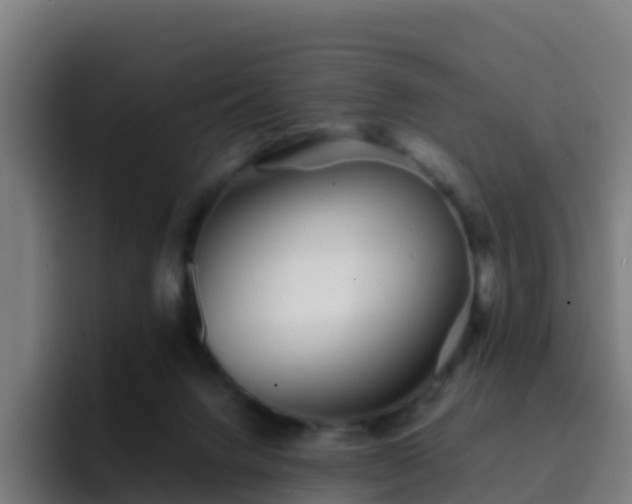 X0000094930072200712061137