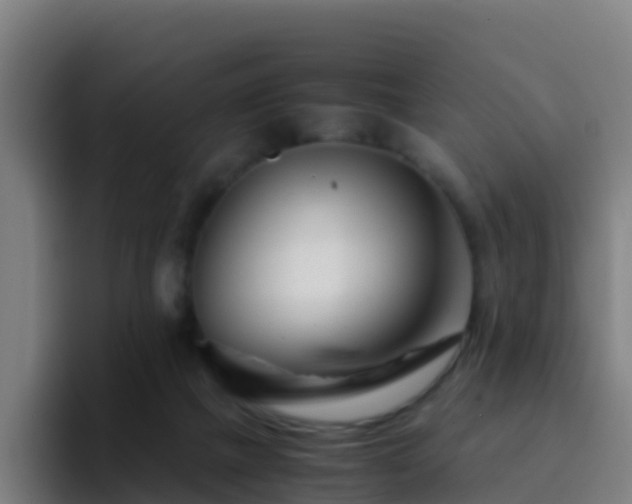 X0000094930073200712061137