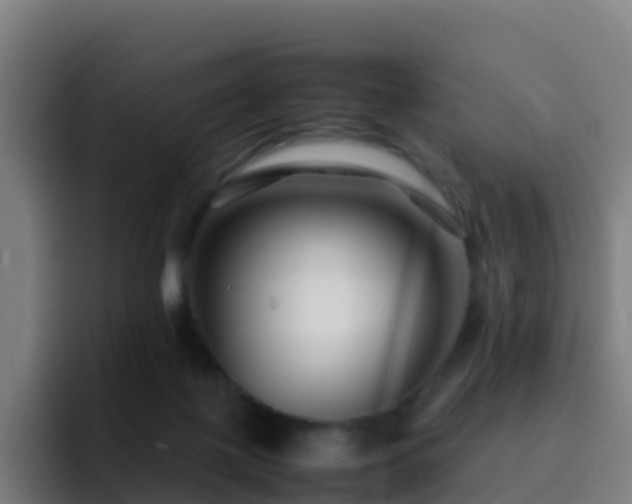 X0000094930075200712061137