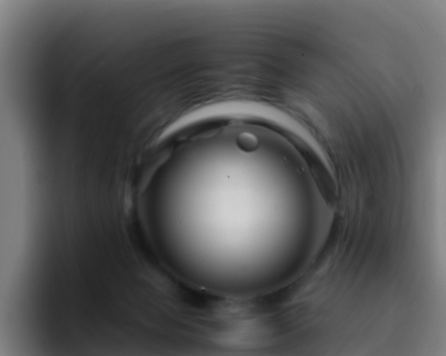 X0000094930077200712061137