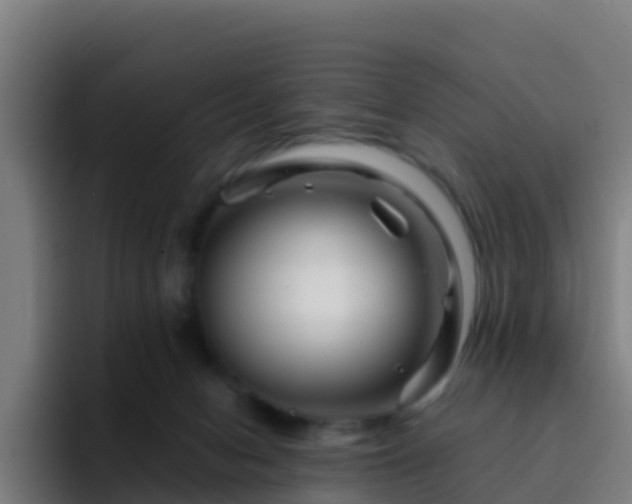 X0000094930078200712061137