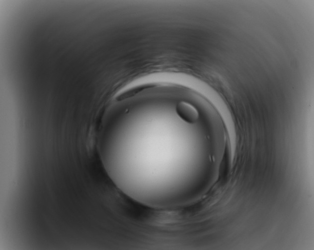 X0000094930081200712061137