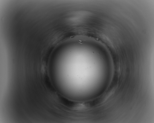X0000094930083200712061137
