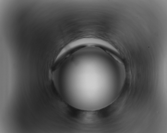 X0000094930089200712061137