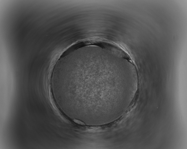 X0000094930097200712061137
