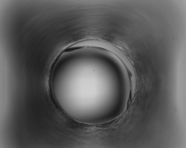X0000094930098200712061137