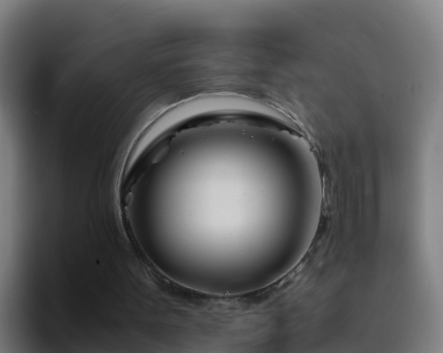 X0000094930099200712061137
