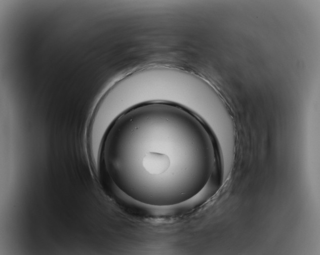 X0000094930100200712061137