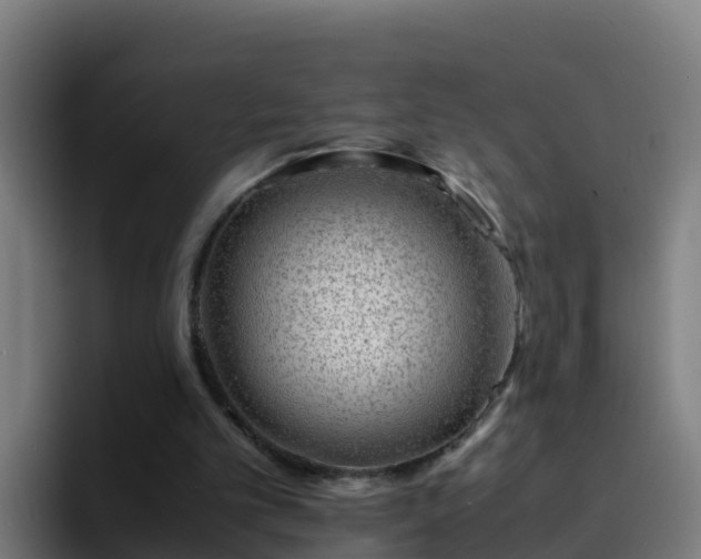 X0000094930101200712061137