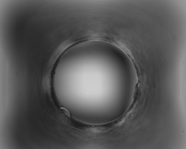 X0000094930103200712061137