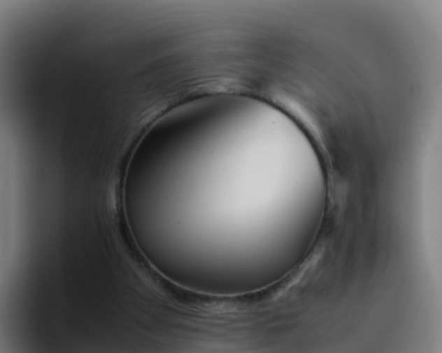 X0000094930105200712061137