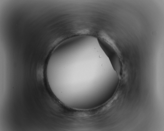 X0000094930106200712061137