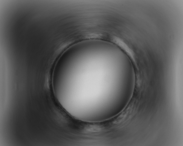X0000094930107200712061137