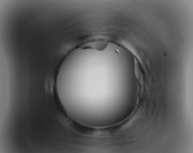X0000094930109200712061137