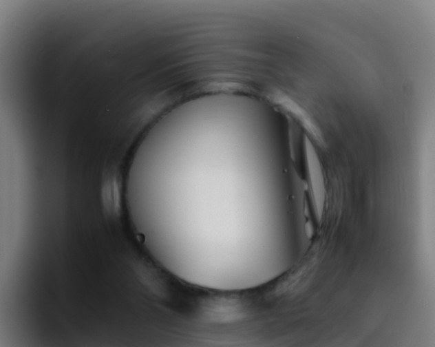 X0000094930110200712061137