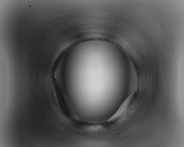 X0000094930112200712061137