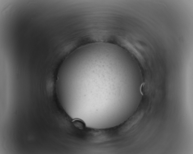 X0000094930113200712061137