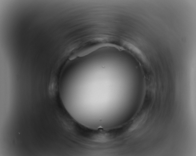 X0000094930119200712061137