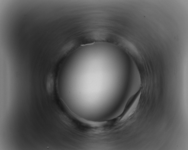 X0000094930120200712061137
