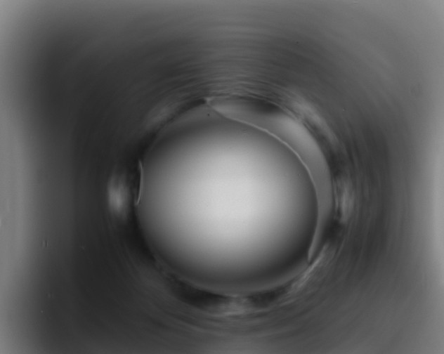 X0000094930124200712061137