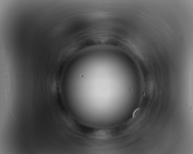 X0000094930126200712061137