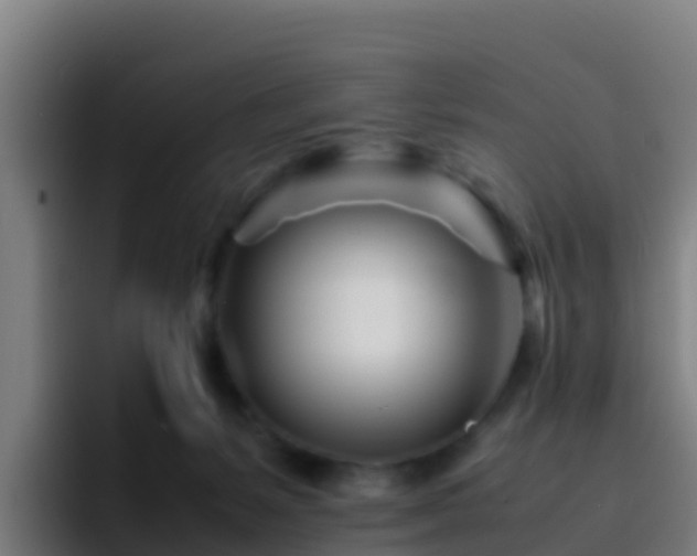 X0000094930127200712061137