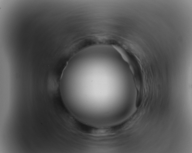 X0000094930129200712061137