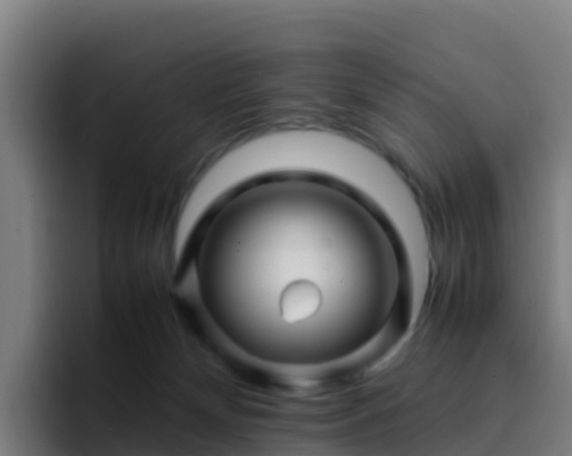 X0000094930132200712061136