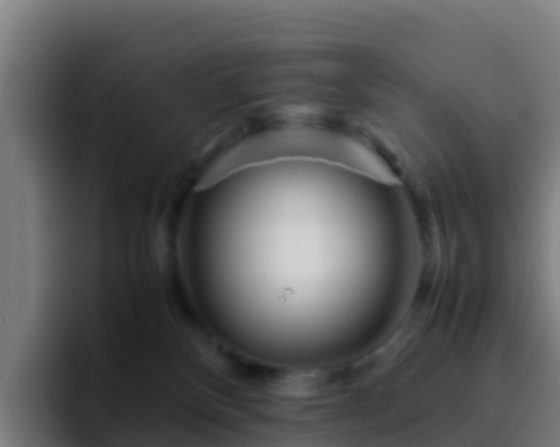 X0000094930136200712061136