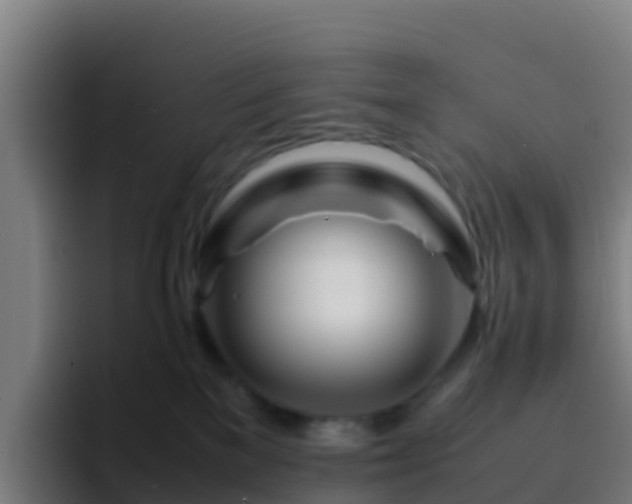 X0000094930137200712061136