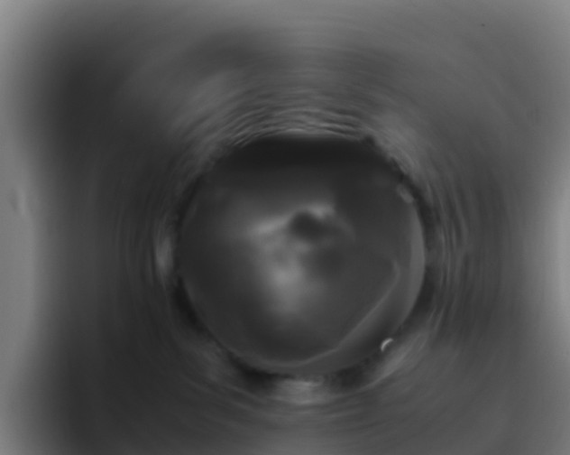 X0000094930139200712061136