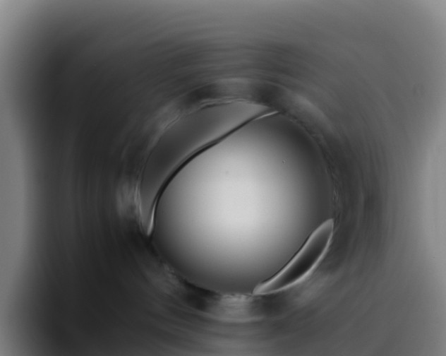 X0000094930144200712061136