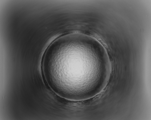 X0000094930147200712061136