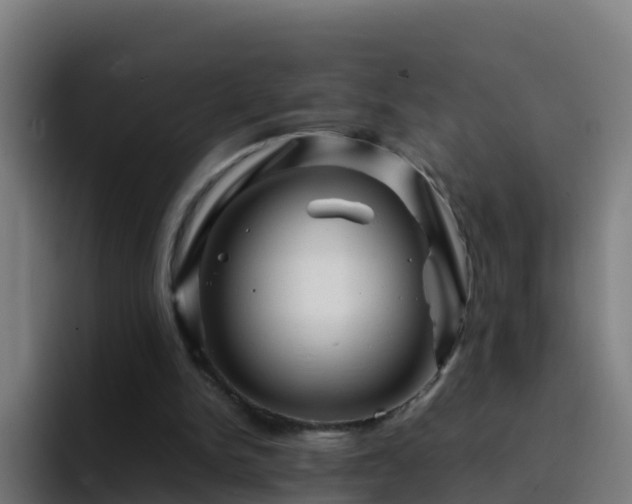 X0000094930150200712061136