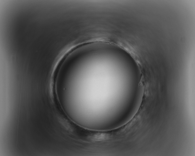 X0000094930152200712061136