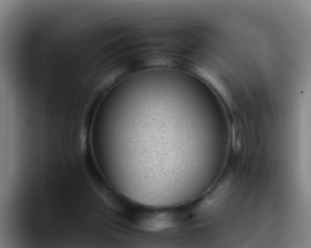 X0000094930157200712061136