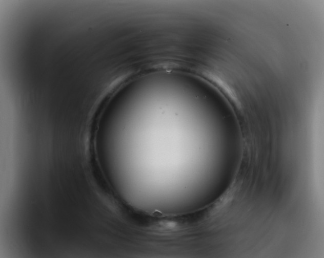 X0000094930159200712061136