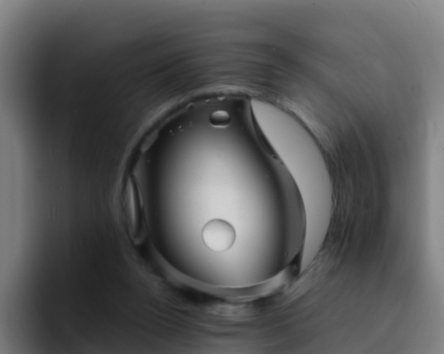 X0000094930160200712061136