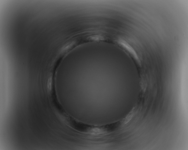 X0000094930163200712061136