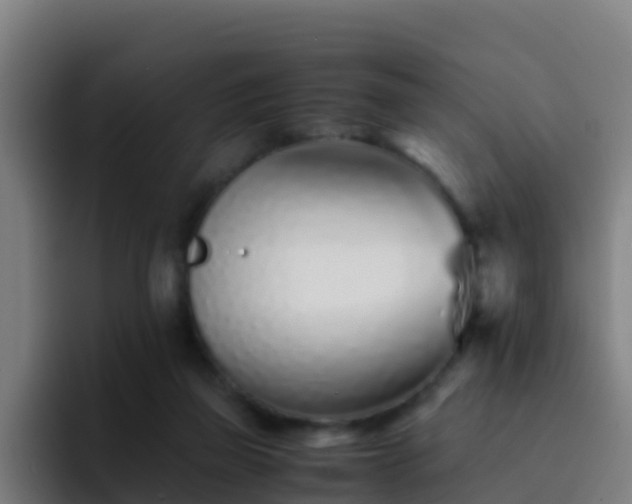 X0000094930165200712061136