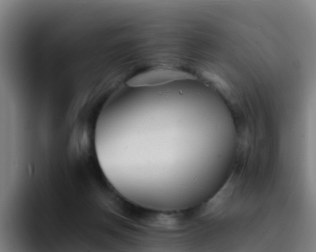 X0000094930166200712061136