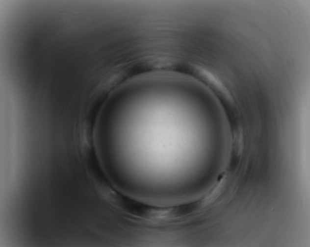 X0000094930170200712061136