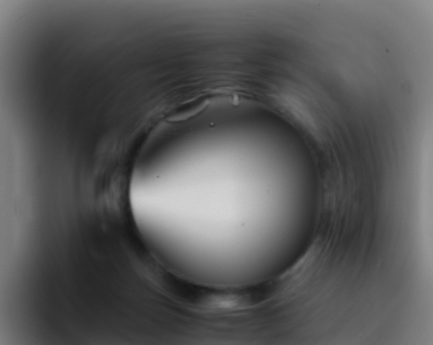 X0000094930171200712061136