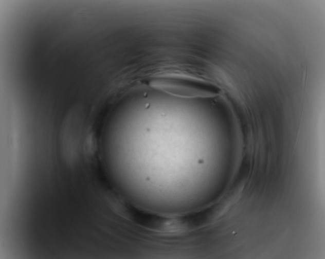 X0000094930173200712061136