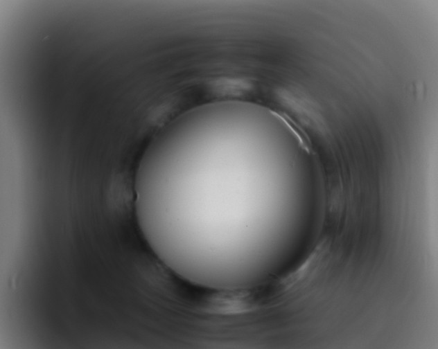 X0000094930179200712061136