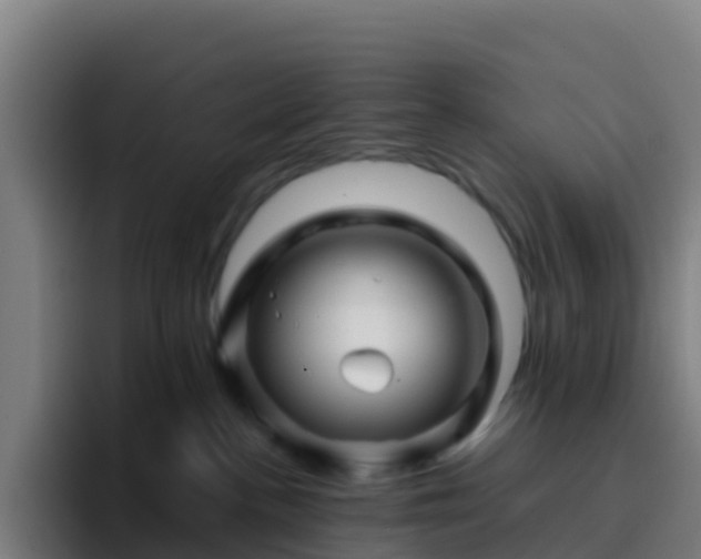 X0000094930188200712061136