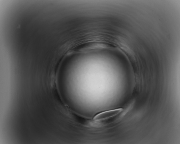 X0000094930189200712061136