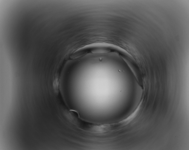 X0000094930190200712061136