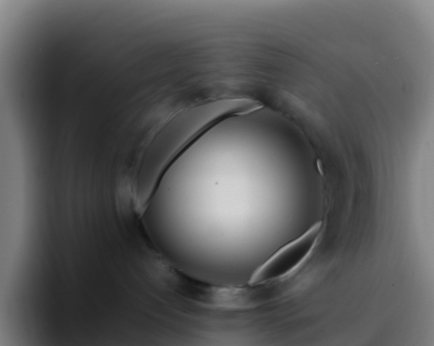 X0000094930192200712061136